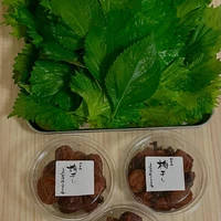 画像313
